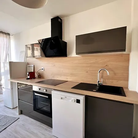 Nancy Centre Gare Appartement Renove 3 Chambres Exterior photo