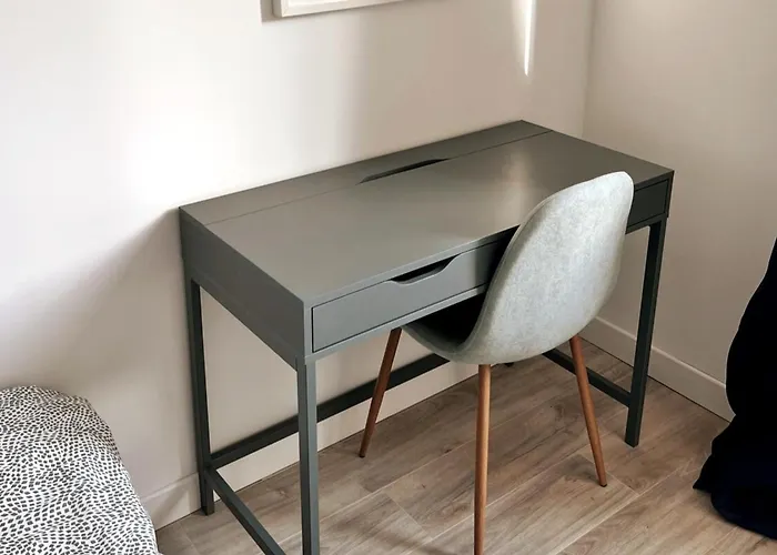 Nancy Centre Gare Appartement Renove 3 Chambres