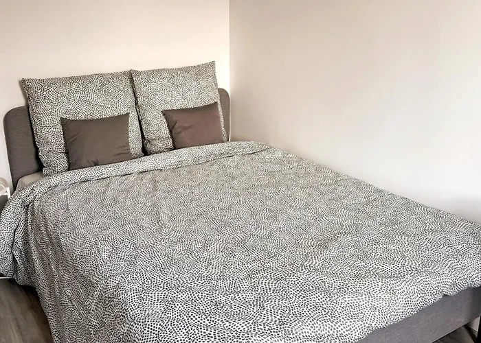 Nancy Centre Gare Appartement Renove 3 Chambres
